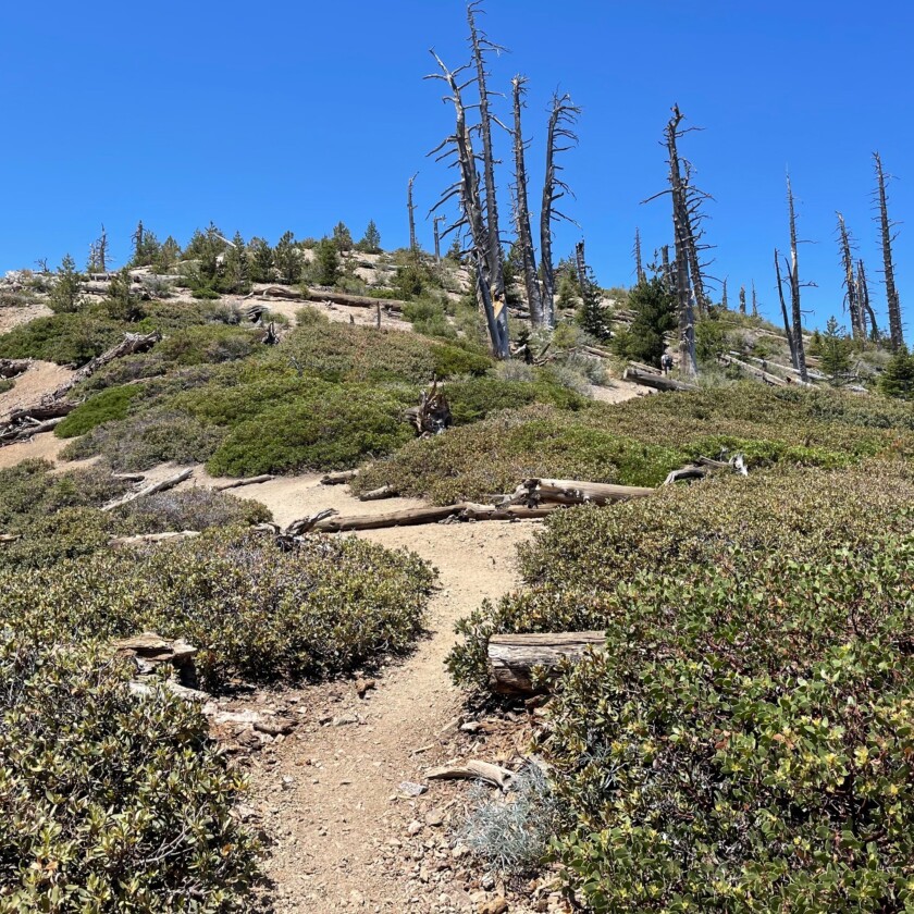 A dirt hiking trail winds upward into a blue sky.