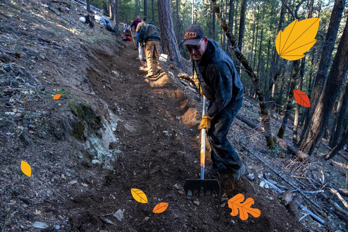 People work with hoes on a dirt trail in the side of a steep forested hill. Illustrated leaves float by.