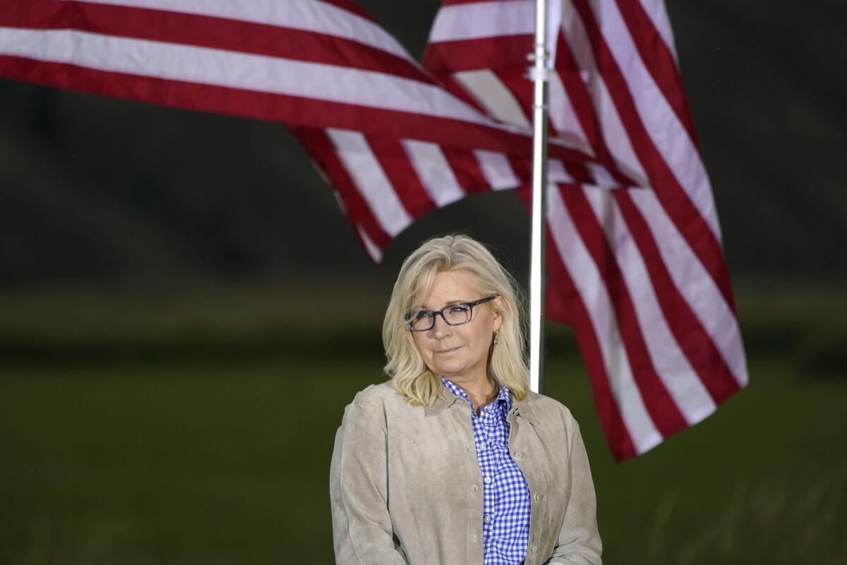 Congresswoman Liz Cheney standing in front of a large American flag