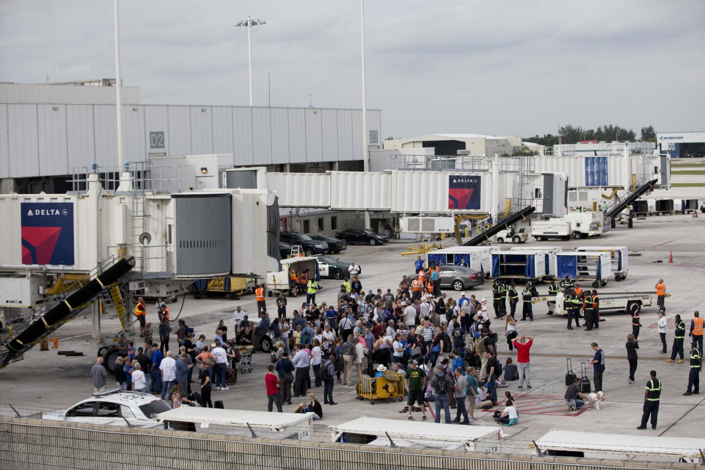 APphoto_Airport Shooting Florida