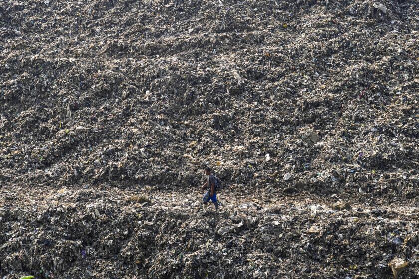 Un basural en las afueras de Yakarta, Indonesia, el 10 de mayo del 2024. (Foto AP /Tatan Syuflana)