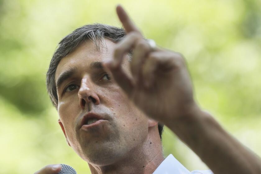 Democratic presidential candidate, former U.S. Rep. Beto O'Rourke speaks at the Manchester Democrats annual Potluck Picnic at Oak Park in Manchester, N.H., Saturday, July 13, 2019. (AP Photo/Cheryl Senter)