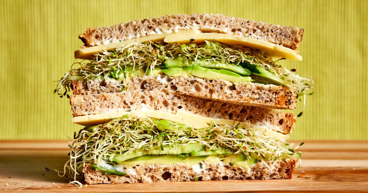 Veggie sandwiches that intrigue as much as they satisfy