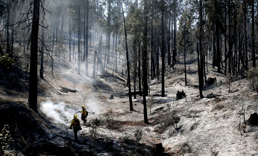 Firefighters put out hot spots in a moonscape created by the Oak fire near Mariposa.