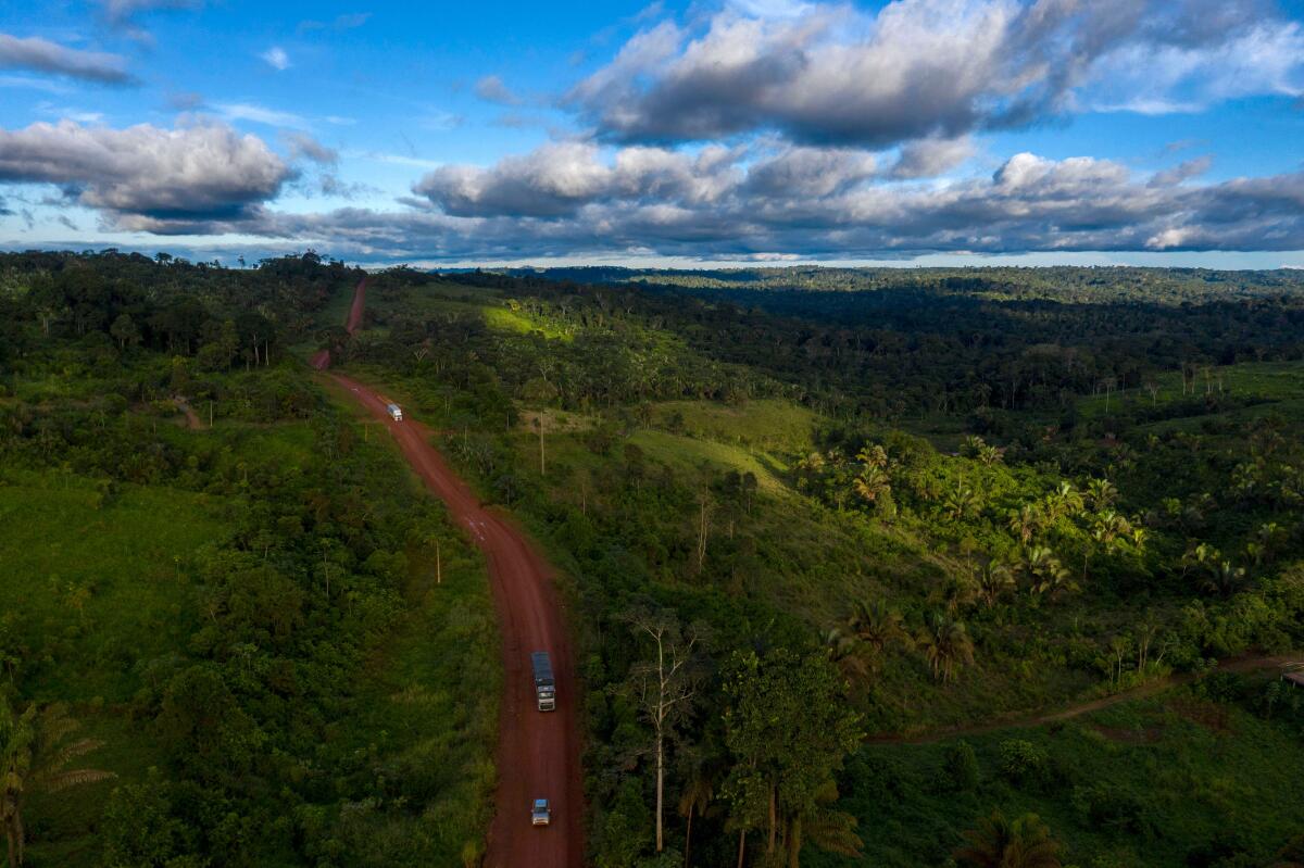Aerial view of a dirt road cutting through the Amazon rainforest