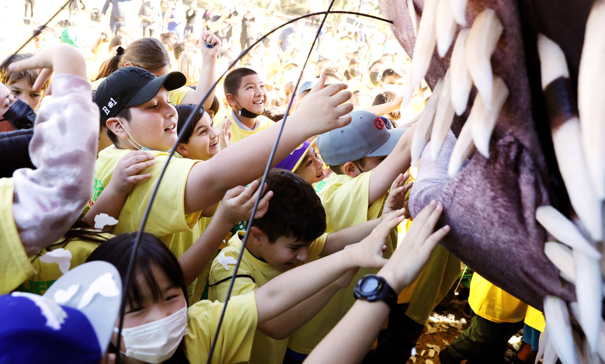 Children reach out to touch Percy the Porcupine puppet