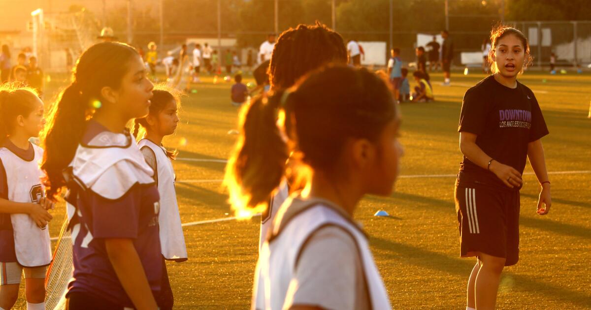 Boletín de fútbol: La paridad ayuda a la Liga MX, pero ¿perjudica al  talento local? - Los Angeles Times