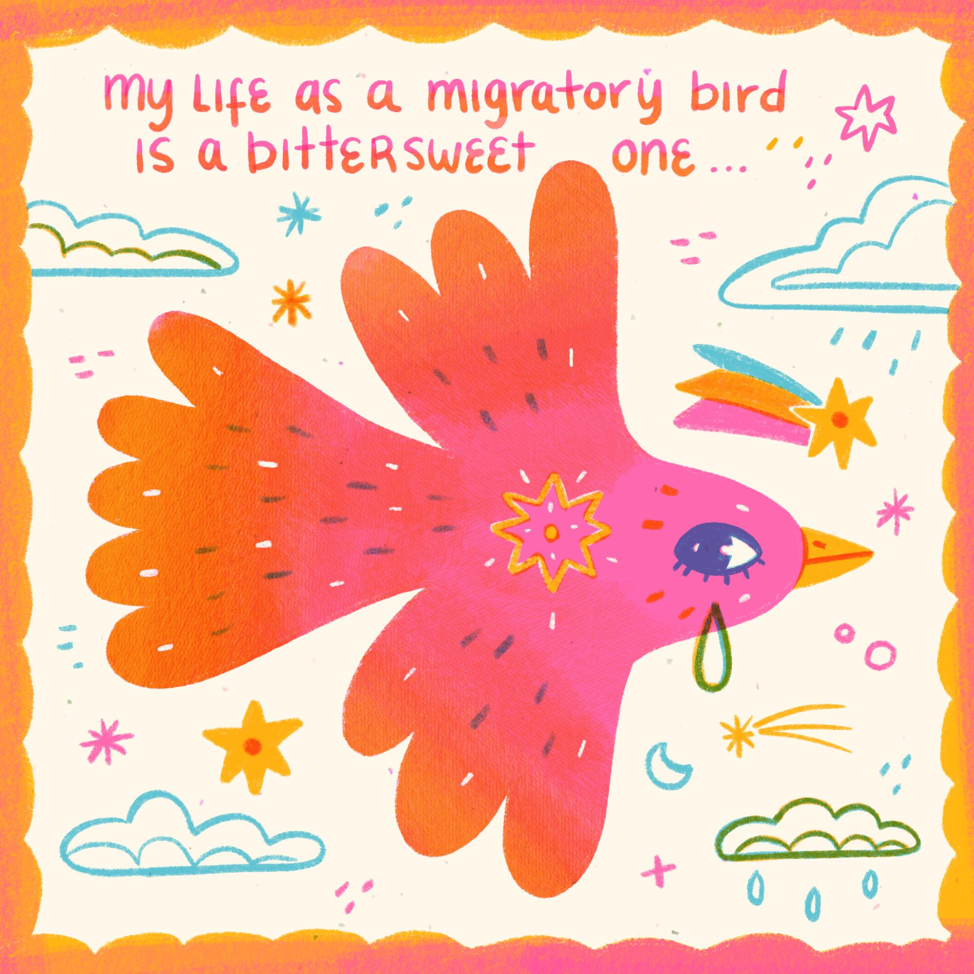 My life as a migratory bird is a bittersweet one ...