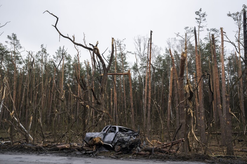 The gutted remains of a car in front of damaged trees