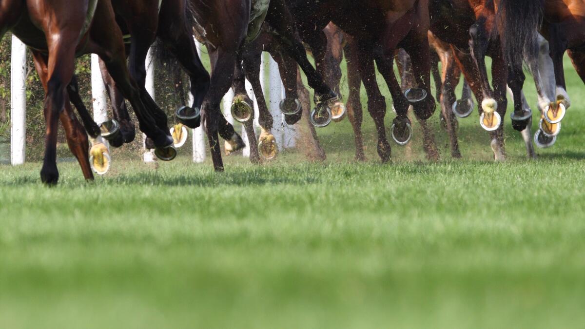 Horses run at Santa Anita