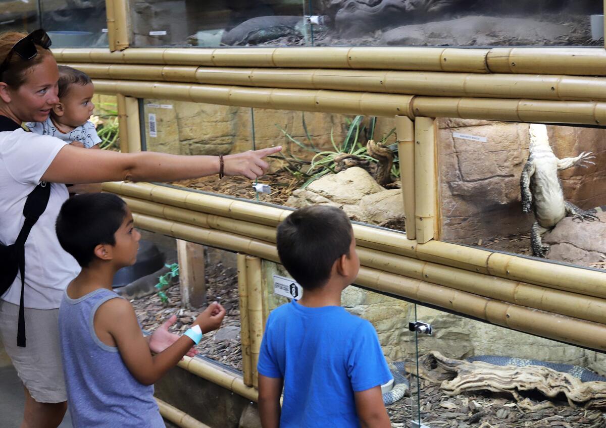 A family gets a close look at a reptiles at the Reptile Zoo in Fountain Valley.