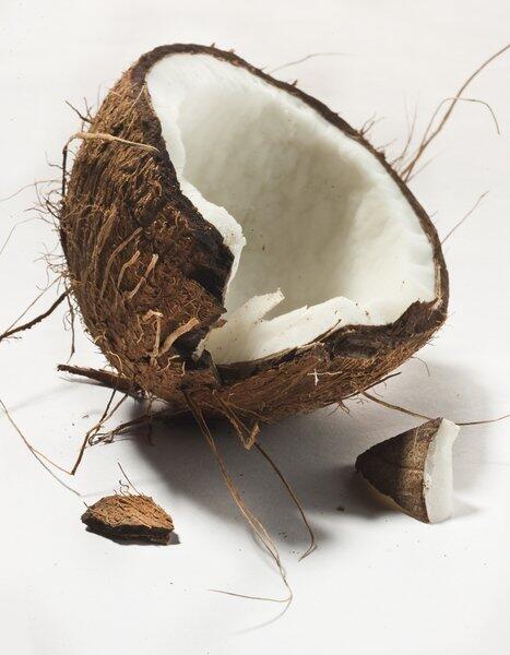 You are more likely to be killed by a falling coconut than by a shark