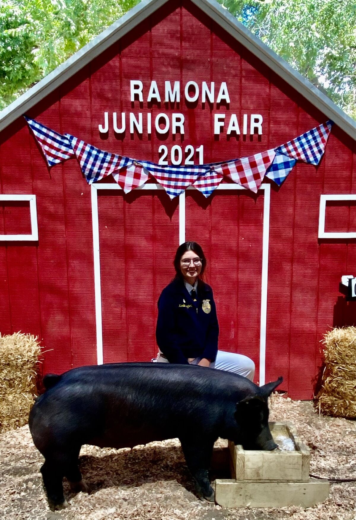 Ramona Junior Fair offers competition but also lots of fun agricultural