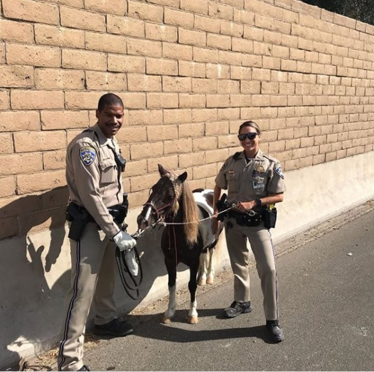 California Highway Patrol officers helped rescue a pony from the 91 Freeway on Sunday.