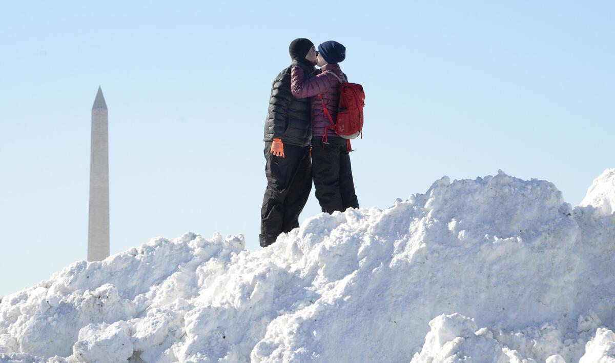 A show of affection on a pile of snow in Washington.