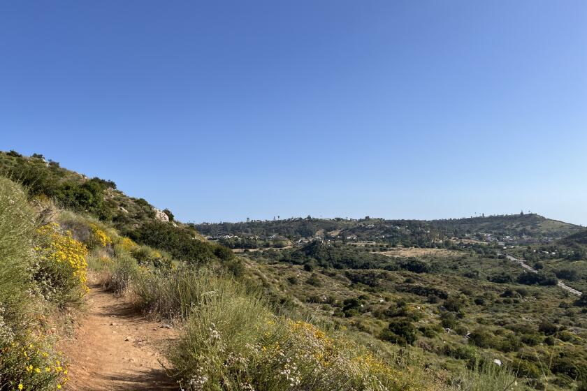 A view from the Climbers Loop trail, overlooking Mission Trails Regional Park and the San Carlos neighborhood.