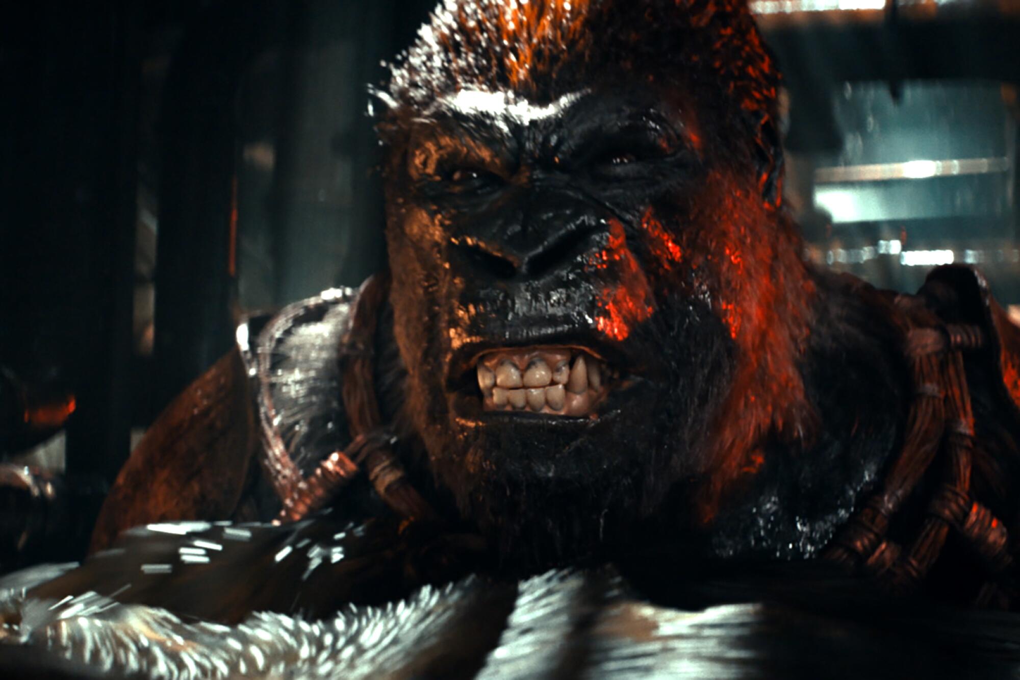 An ape bares its teeth in a scene from "Kingdom of the Planet of the Apes."