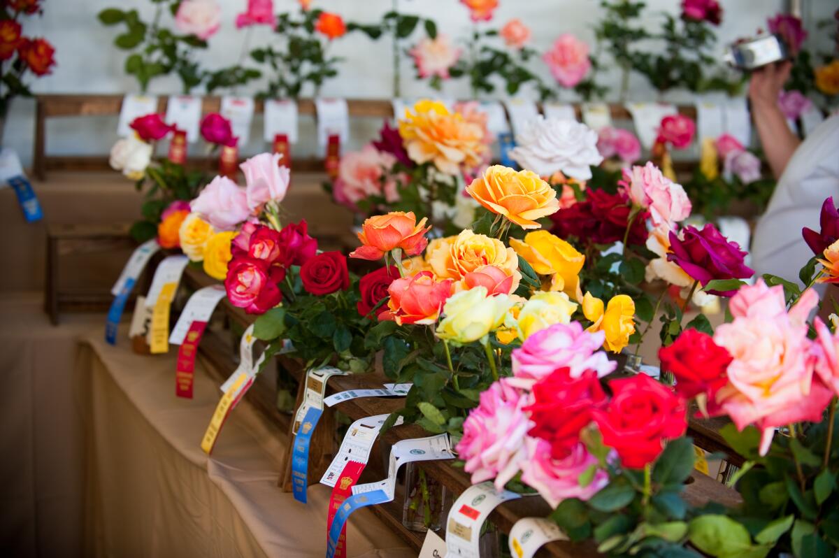 16 Insider Secrets to Picking Beautiful Flowers at the Grocery Store