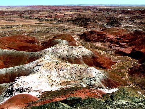 Petrified Forest National Park, Arizona