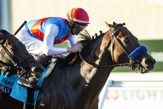 In this image provided by Benoit Photo, Arabian Knight, right, with Flavien Prat aboard, wins the Grade I $1,000,000 Pacific Classic horse race Saturday, Sept. 2, 2023, at Del Mar Thoroughbred Club in Del Mar, Calif. (Benoit Photo via AP)