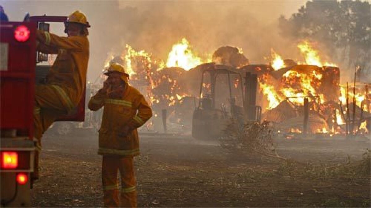 A firefighter tackles a wildfire south of Nowra, Australia.