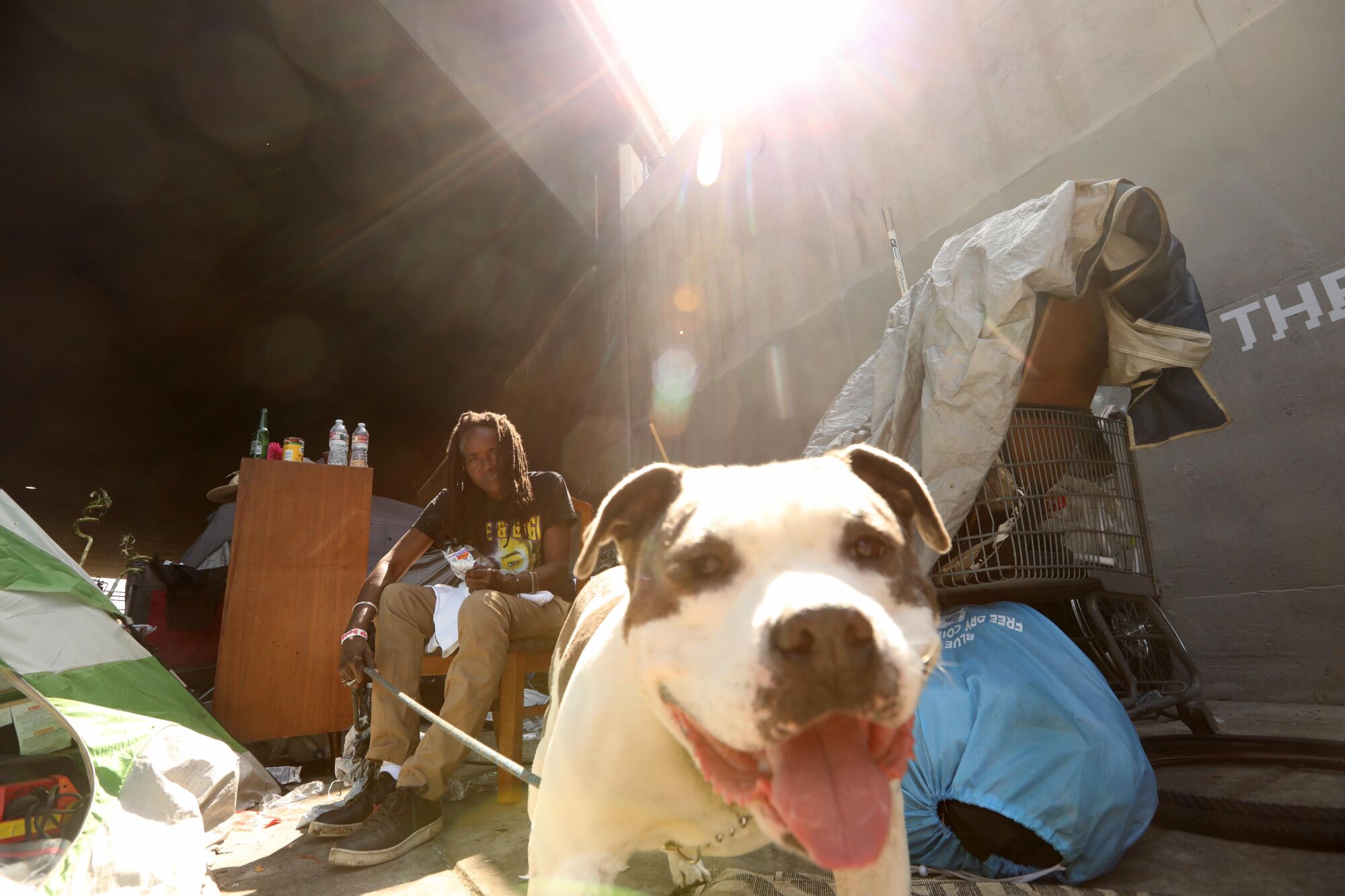 Kim M. and her dog Dee-O-G live under the Santa Monica Freeway along Venice Boulevard in Los Angeles.