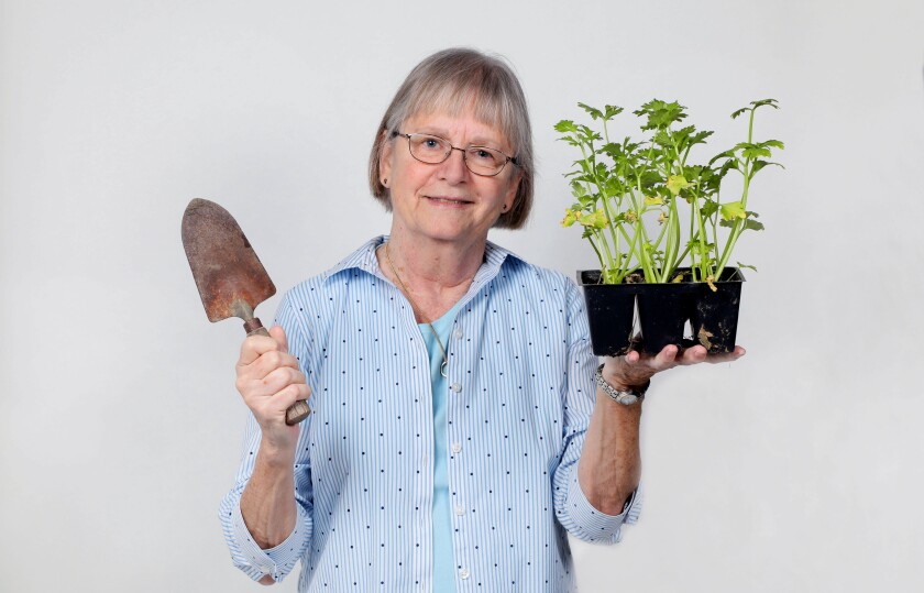 Marti Kohl, facilitator of the Rancho Carlsbad Garden Mentoring Program (a partnership with the Boys & Girls Clubs of Carlsbad), pictured with celery plants.
