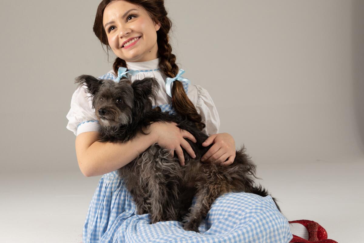 A young girl with braids in a gingham dress and ruby slippers sits on the ground with a dog in her lap