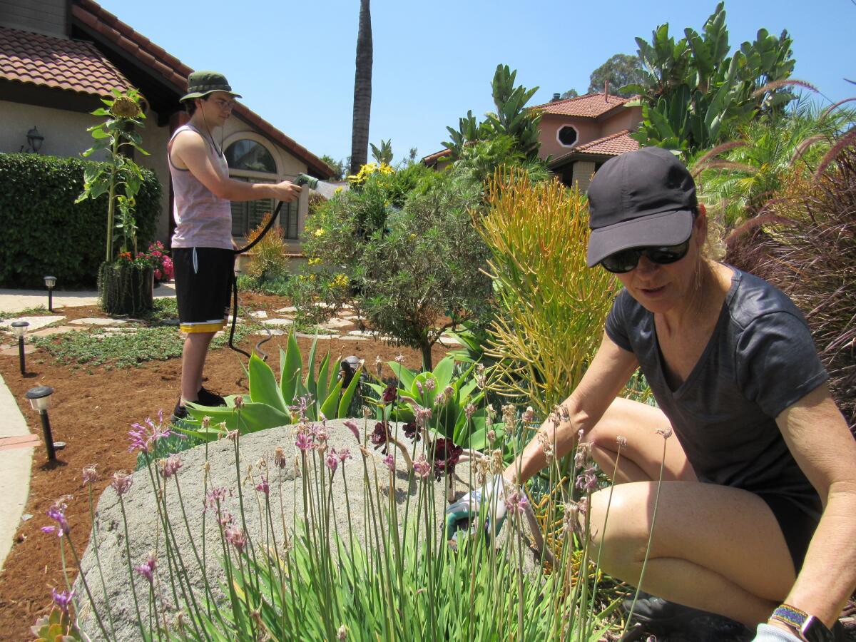 Christine Laframboise and her son, Blake, work on the landscape that won top honors in an Otay Water District contest.