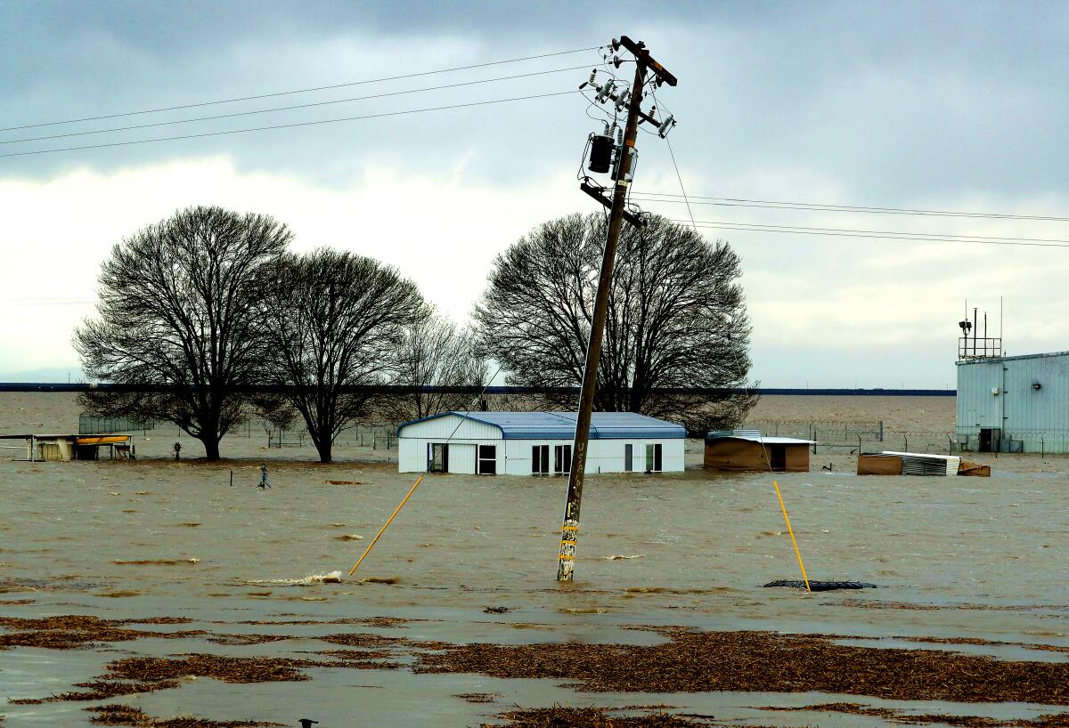 Brown floodwaters surround a small building, trees and an electricity pole