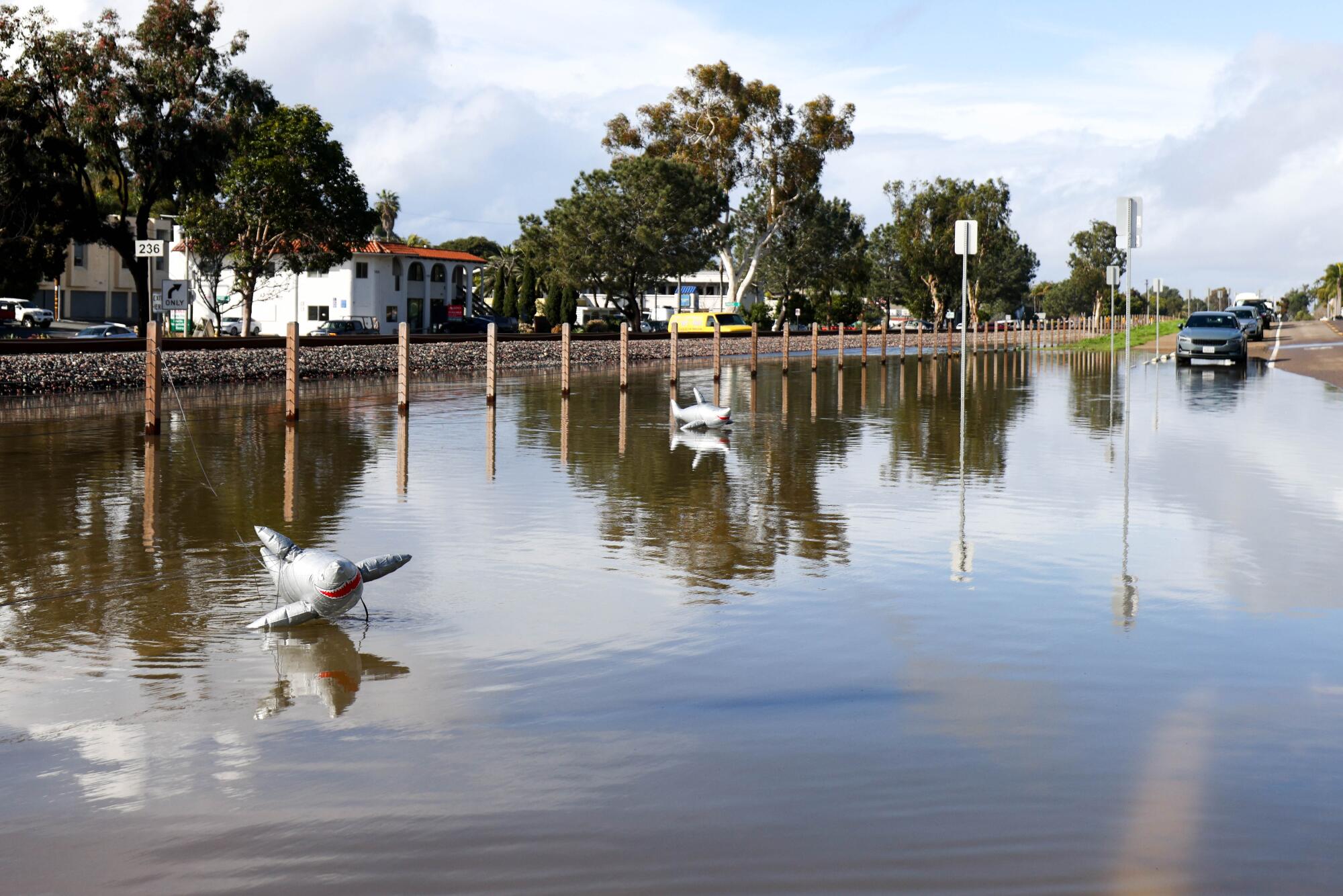 Inflatable sharks are seen floating in flood water along North Vulcan Avenue Tuesday in Encinitas.