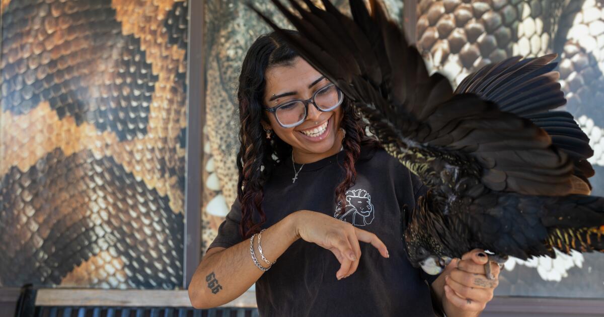 Tigers, a serval and a tortoise: Moorpark College's Teaching Zoo trains students for animal careers