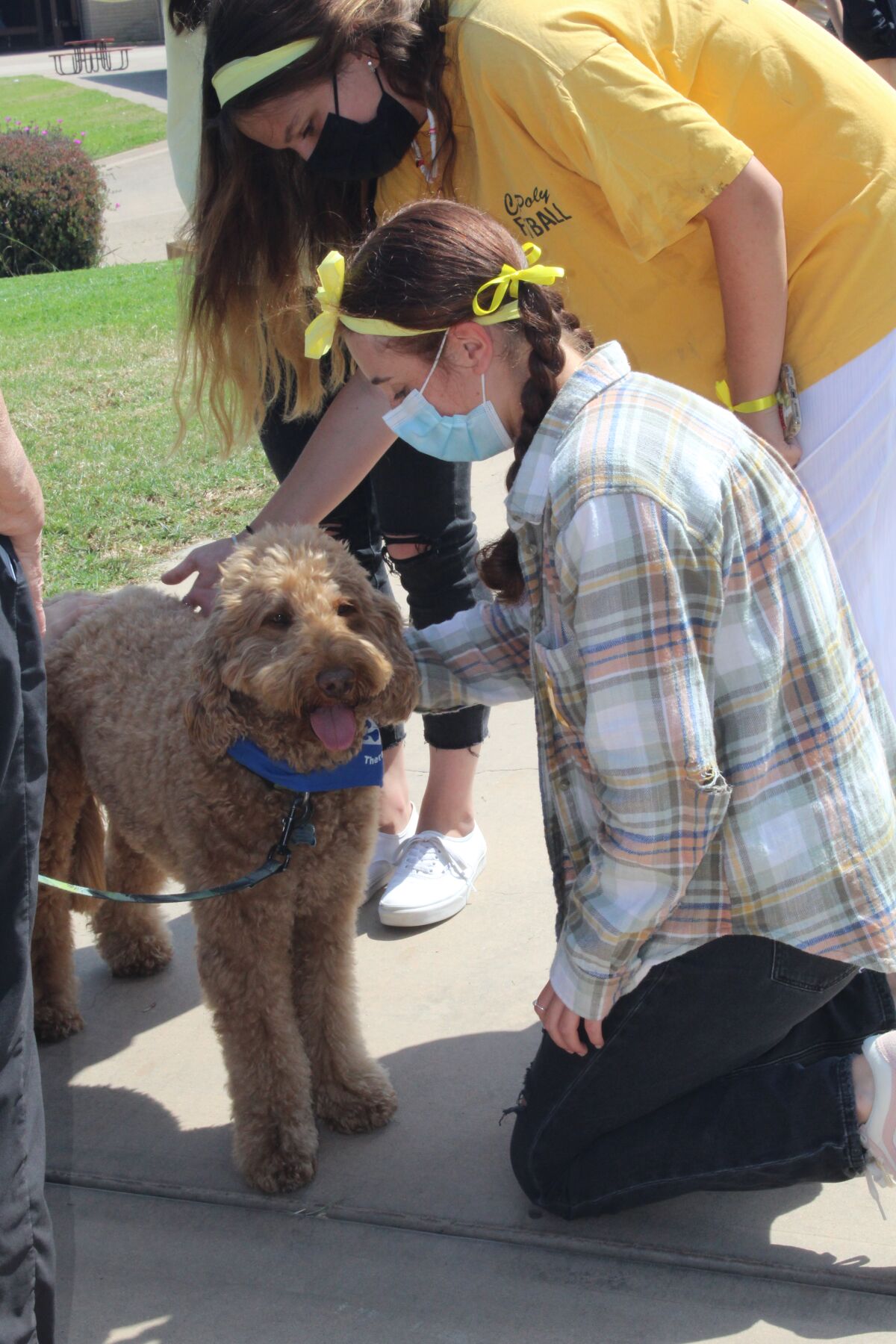 A student gets love from a therapy dog.
