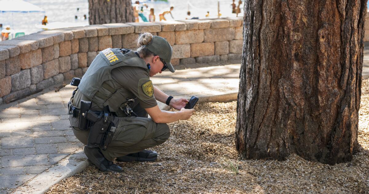Mysterious poisoning of Tahoe trees may improve somebody’s view Mysterious poisoning of Tahoe trees may improve somebody’s view