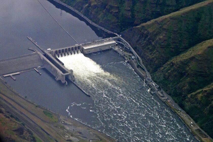 In this May 15, 2019, file photo, the Lower Granite Dam on the Snake River is seen from the air near Colfax, Washington. The federal government said Friday, July 31, 2020, four giant dams on the Snake River in Washington state will not be removed to help endangered salmon migrate to the ocean. (AP Photo/Ted S. Warren, File)