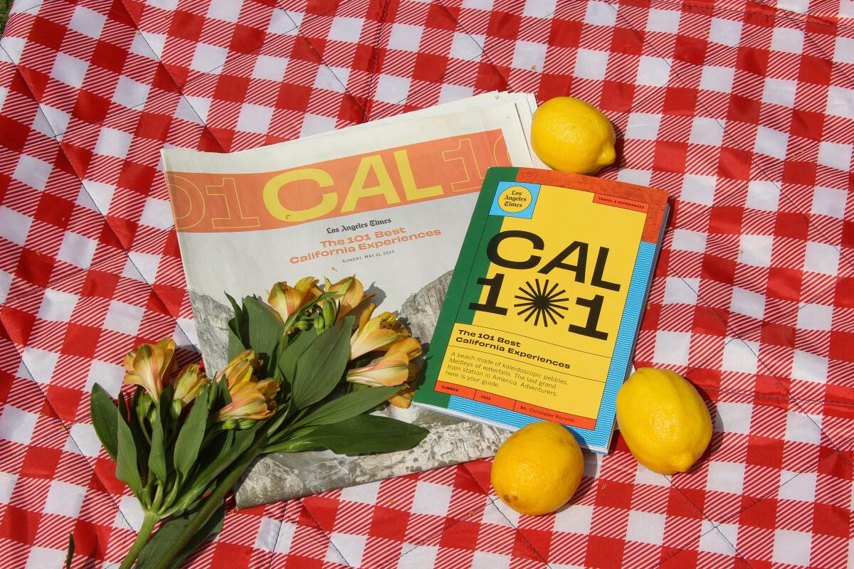 The CAL101 news print section and zine