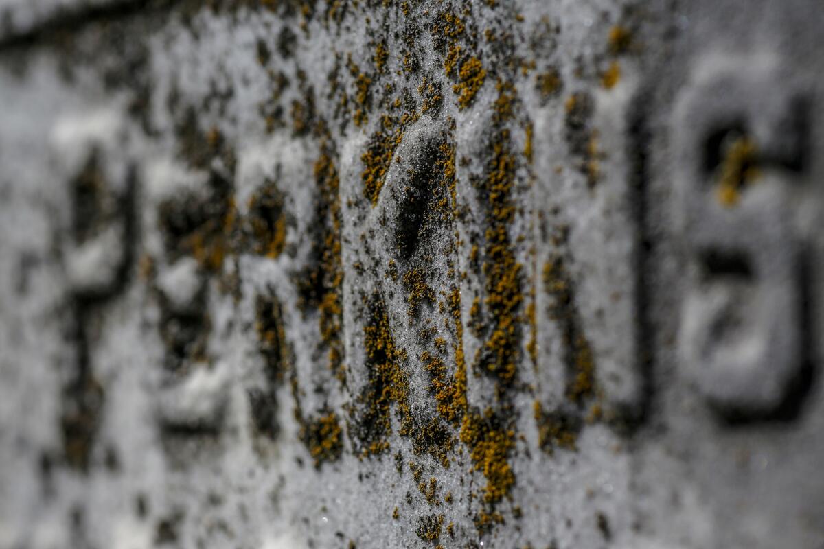 The Perkins family headstone at African Cemetery No. 2 in Lexington, Ky. (Robert Gauthier / Los Angeles Times)