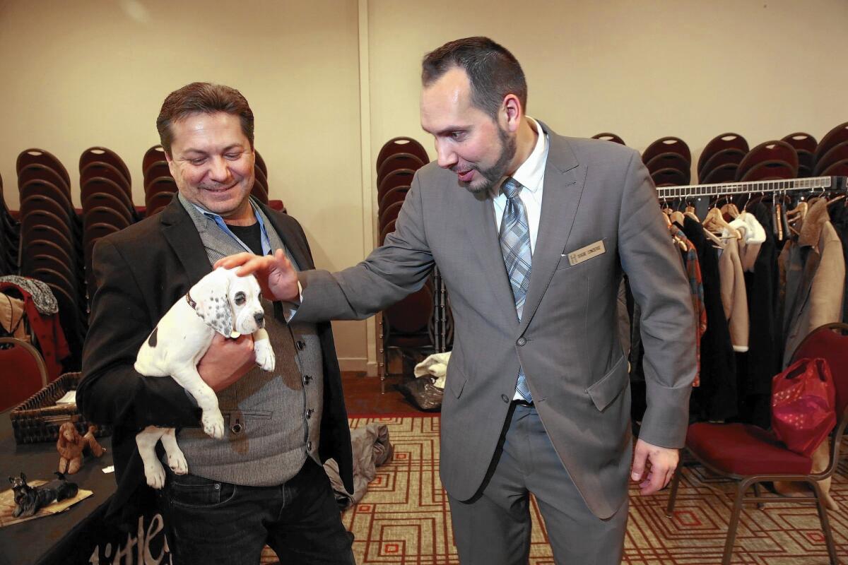 Jerry Grymek, the Pennyslvania Hotel's "doggie concierge," chats with David Ceely and greets Annabelle, a puppy up for adoption. The Manhattan hotel fills up with canines during the Westminster Dog Show.