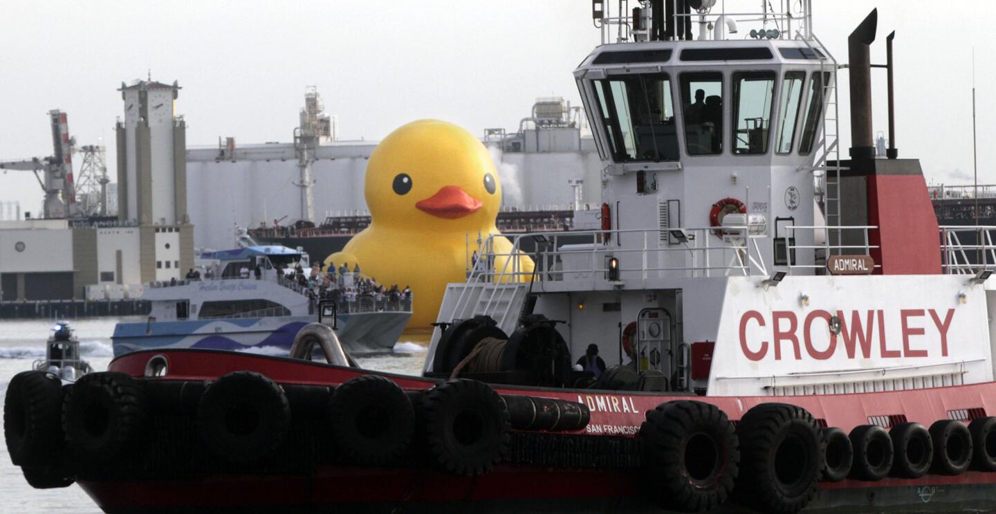 Giant rubber duck