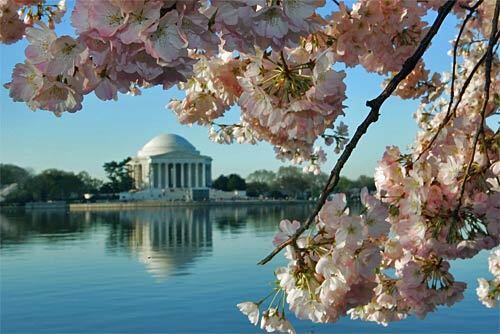 Washington, D.C.