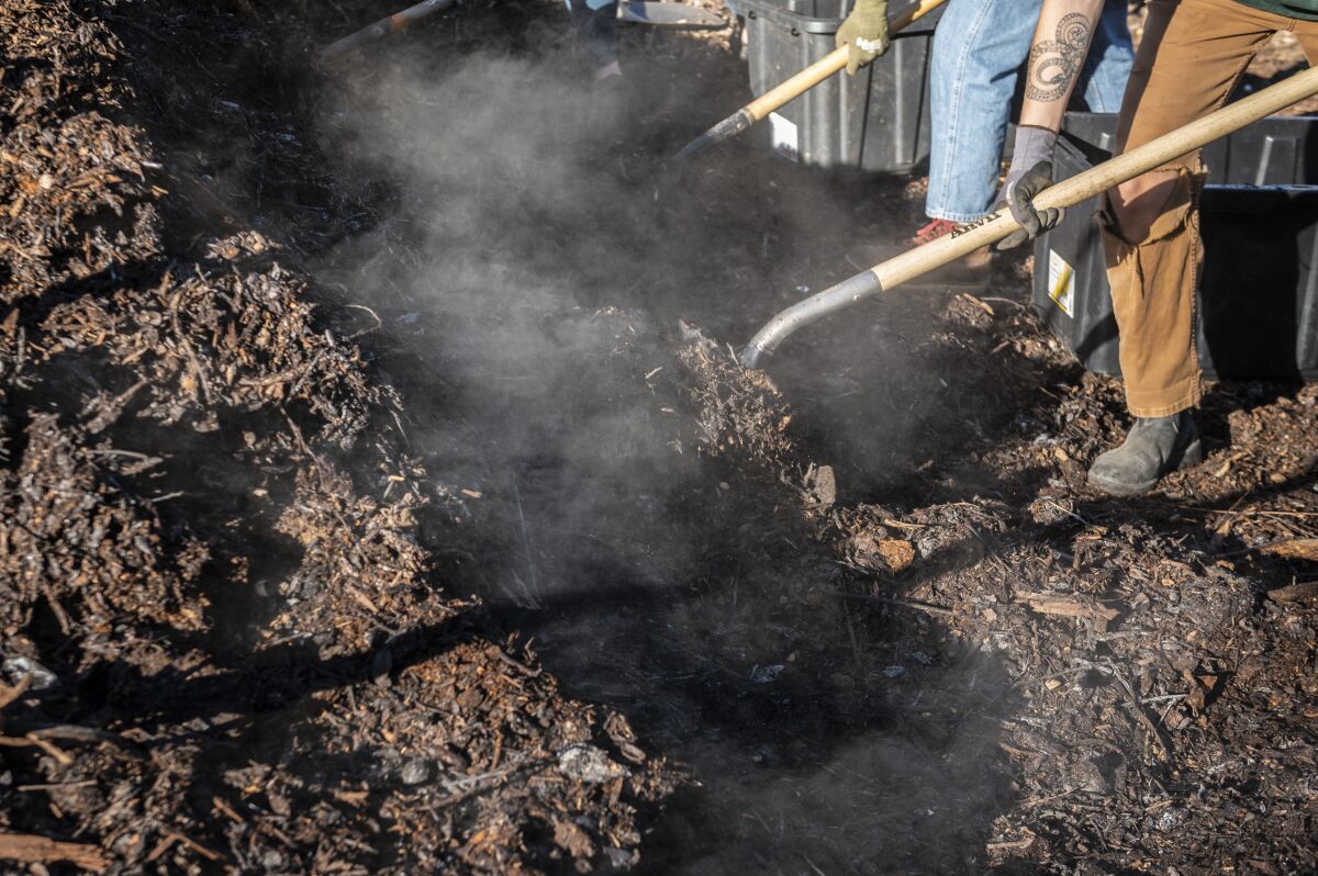 Steam rises over a compost pile.