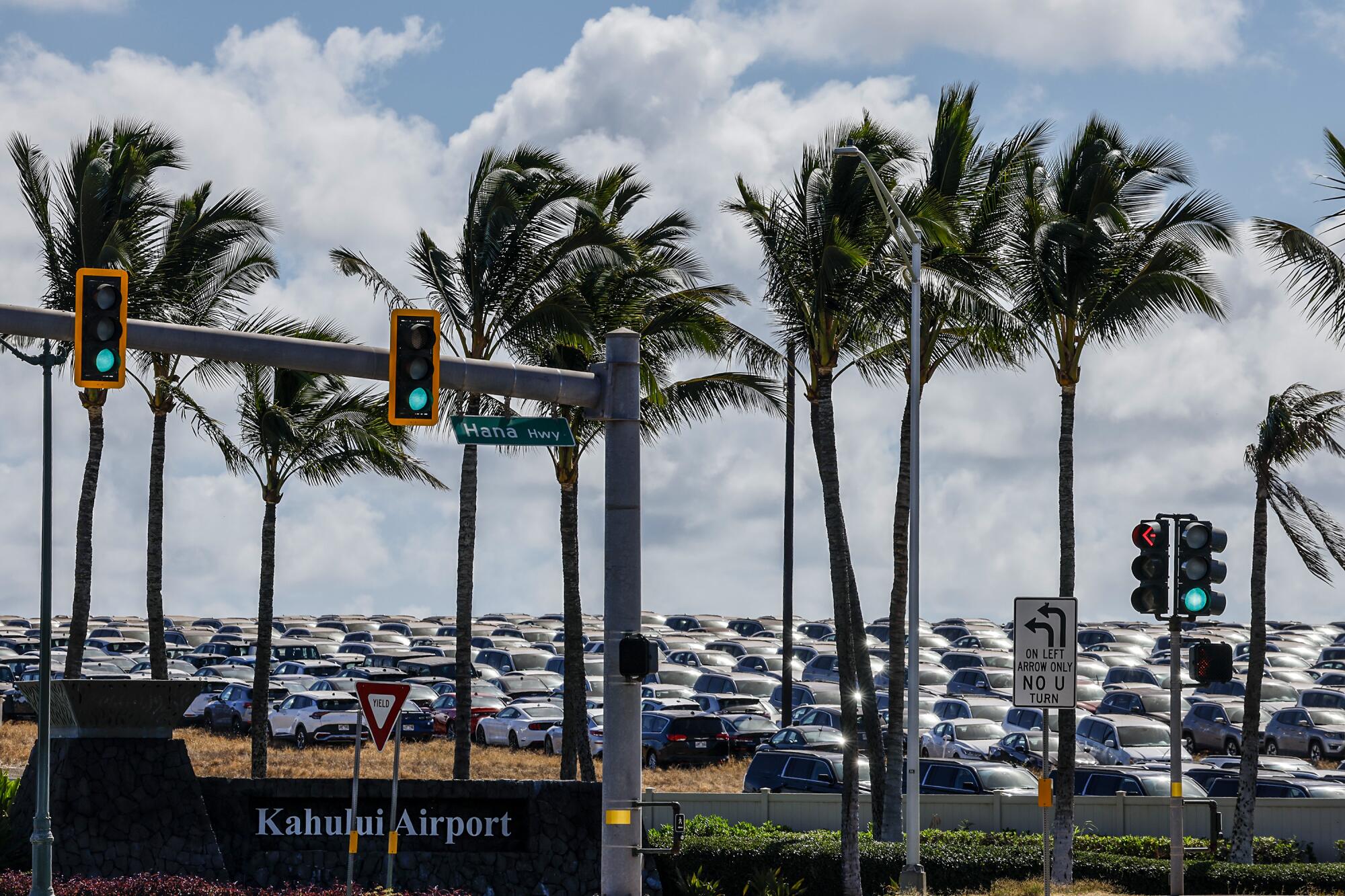 Cars parked in a lot, with a row of palm trees and a sign for Kahului Airport in the foreground 