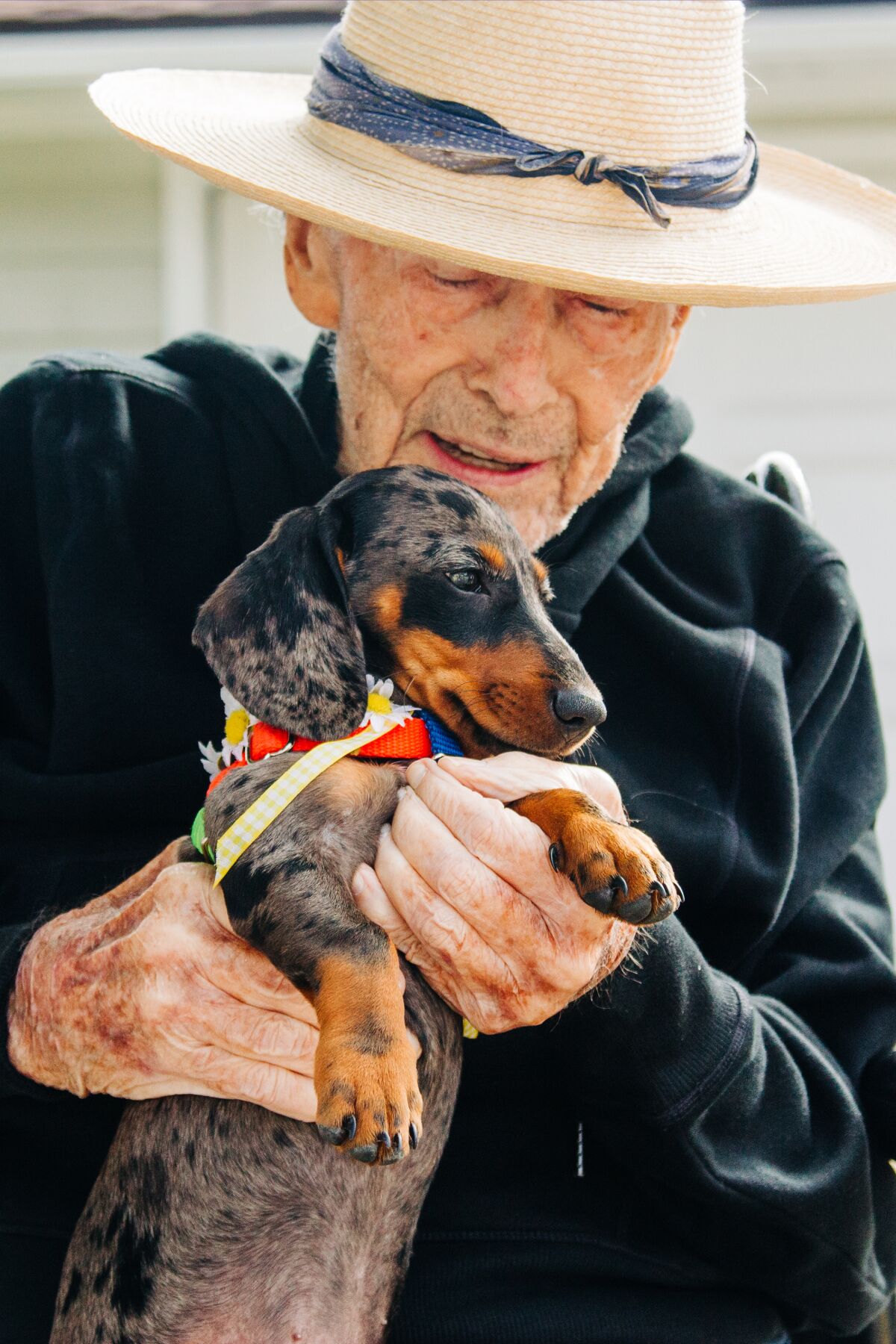 Chris McCullough, 97, holds a dachshund during a neighborhood parade for him and his wife, Liz.