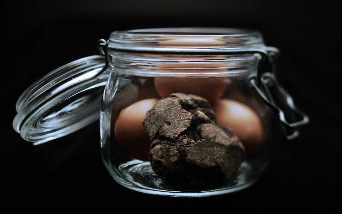 Guy Savoy's lentil ragout with black truffles