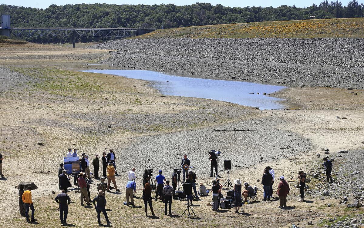 A group of people, some with camera equipment, stand outdoors with a small patch of water in the background.