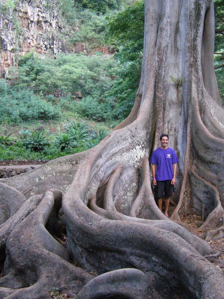 Kauai