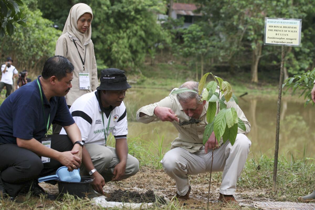 FILE - In this Nov. 2, 2008 file photo, Britain's Prince Charles, right, smells the earth where he plants an endangered Bulian tree (eusideroxylon zwagerii) in the Harapan Rainforest in Jambi Province, Indonesia. Charles told BBC radio in a wide-ranging interview that was broadcast on Monday, Oct. 11, 2021, that world leaders need to do more than “just talk” when they gather in Scotland's biggest city, Glasgow, from the end of this month for a U.N. climate summit, known as COP26. (AP Photo/Binsar Bakkara, file)