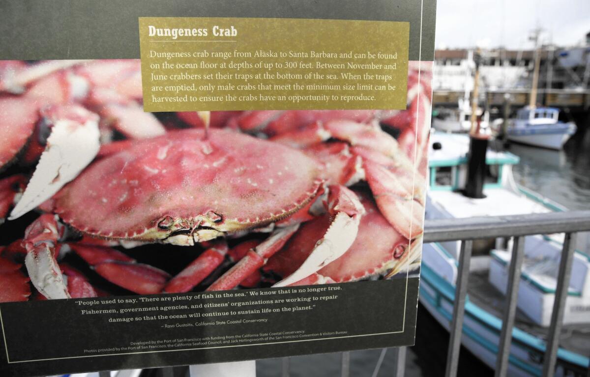 A sign describes the Dungeness crab to visitors along a walkway above boats at Fisherman's Wharf in San Francisco.