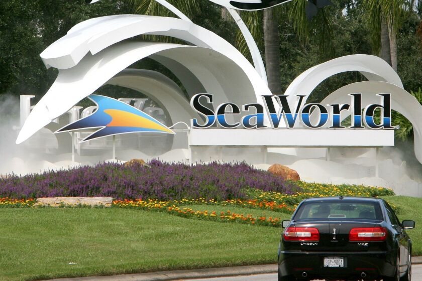 A new bill introduced in the Florida House of Representatives would force SeaWorld to back up its pledge to stop breeding killer whales in its facilities. (Joe Burbank/Orlando Sentinel/TNS) ** OUTS - ELSENT, FPG, TCN - OUTS **