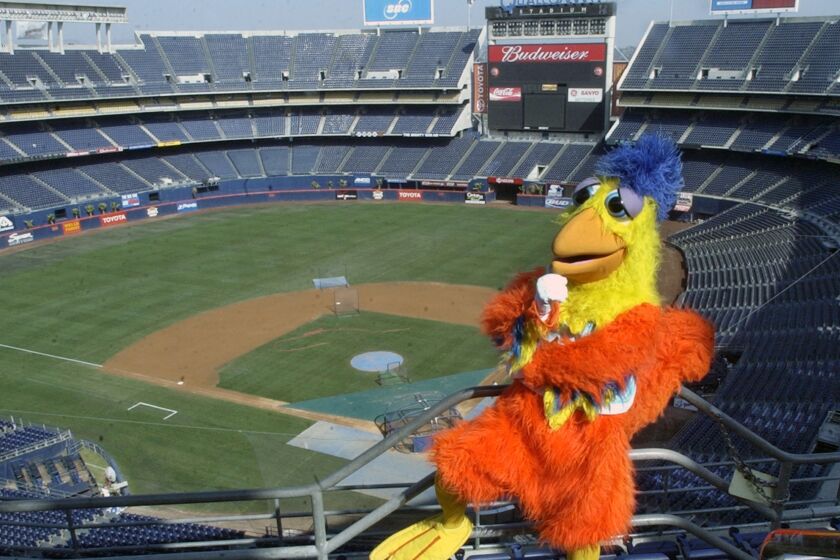 Ted Giannoulas, the Famous San Diego Chicken, ruled the roost at the stadium from virtually the moment he walked in 45 years ago.